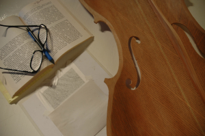 cello novel